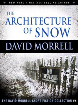 The Architecture of Snow