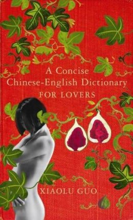A Concise Chinese English Dictionary for Lovers